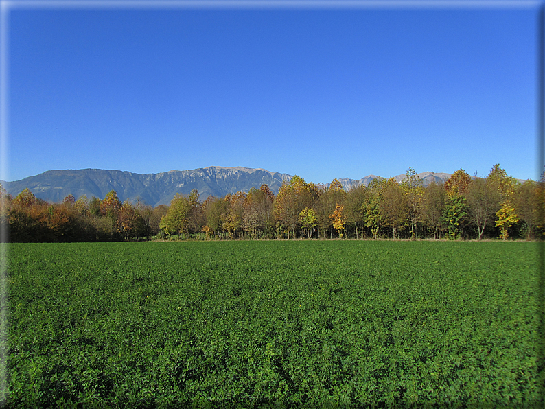 foto Paesaggi Autunnali tra le colline Fontesi